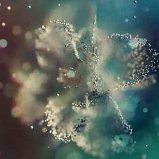 ANNA debuts ambient electronic album Intentions inspired by a personal spiritual awakening